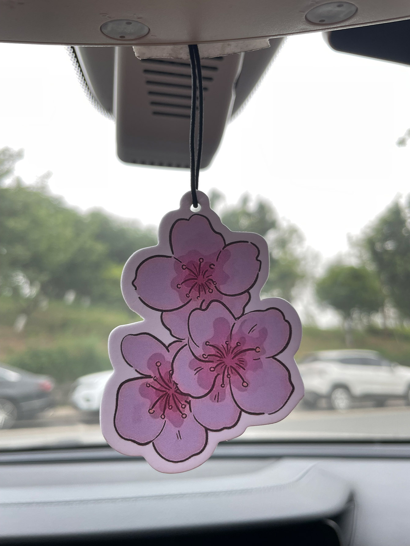 Home Fragrance Types - Perfume de Carro Neutro com Fragrância