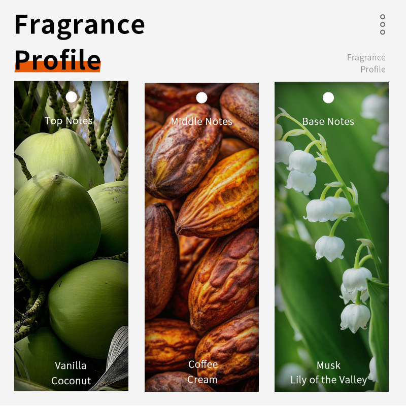 60ml chocolate cappuccino eau  - Home Fragrance Vanilla Musk avaliação e preço