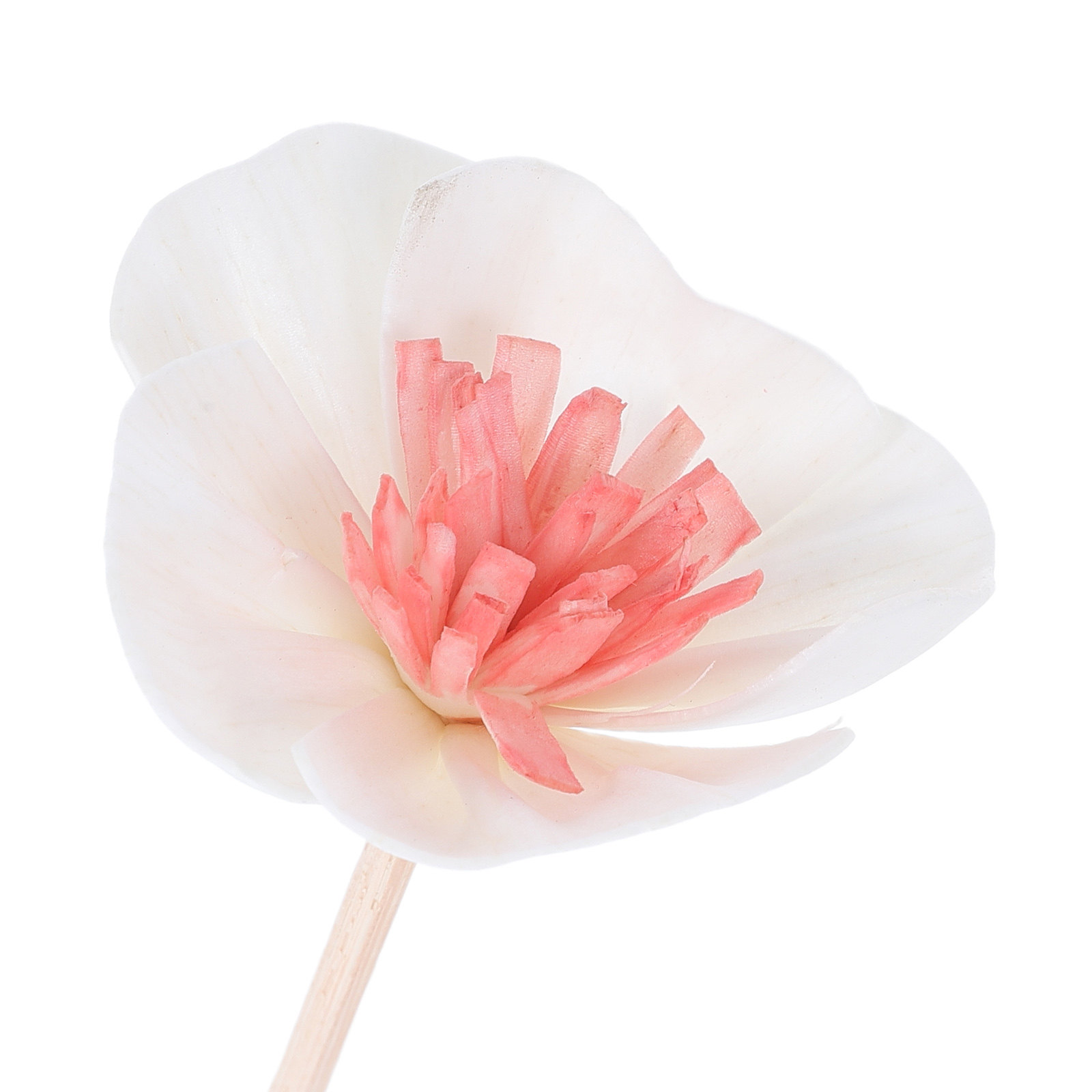 10 Peças de Varetas Difusoras  - Home Fragrance With Essential Oils avaliação e preço