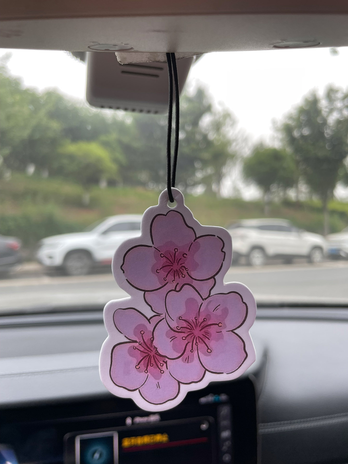 Perfume de Carro Neutro com Fr - Home Fragrance Types avaliação e preço